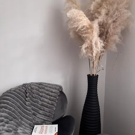 فيلة Alsoerdo
